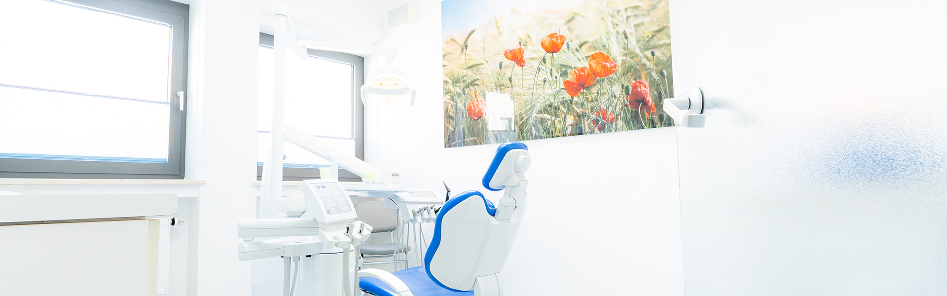 🦷✨ Zahnreinigung und Prophylaxe beim Zahnarzt Landau an der Isar